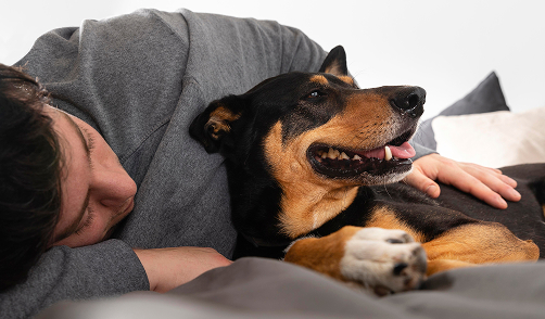 Emotional Support Animal (ESA)