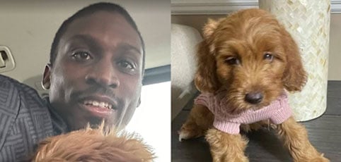 Man and a brown dog wearing a pink emotional support animal vest.